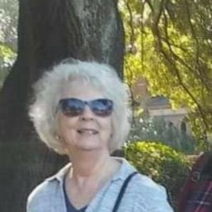 Meet your Posher, Dixie